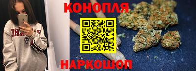 прущие крисы Будённовск